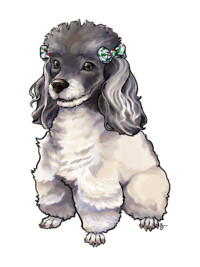 Digital painting of an elderly poodle with light fur, a grey head, and long ears topped with Christmas-themed bows