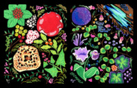 Two acrylic pen paintings on a black background. The paintings feature 28 species of boreal forest floor plants, fungi, and slime molds. The left painting is primarily green, red, and beige. The right is primarily green, purple, and blue. Two acrylic pen paintings on a black background. The paintings feature 28 species of boreal forest floor plants, fungi, and slime molds. The left painting is primarily green, red, and beige. The right is primarily green, purple, and blue.